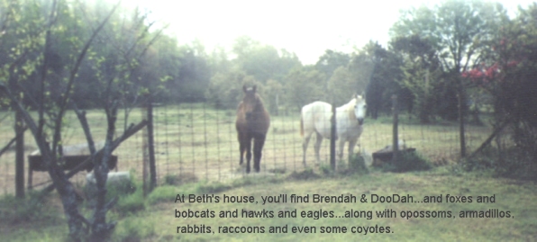 Brendah & DooDah at Beth's House