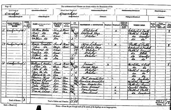 George Ruickbie 1891 Census