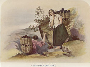 Carrying Peat