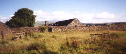 Silvertoune Farm, Braco 2001