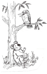 Kookaburra Sits in the Old Gum Tree