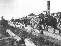 Elephants stacking teak in the T D Findlay & Son yard in Moulmein (Burma) around 1900.