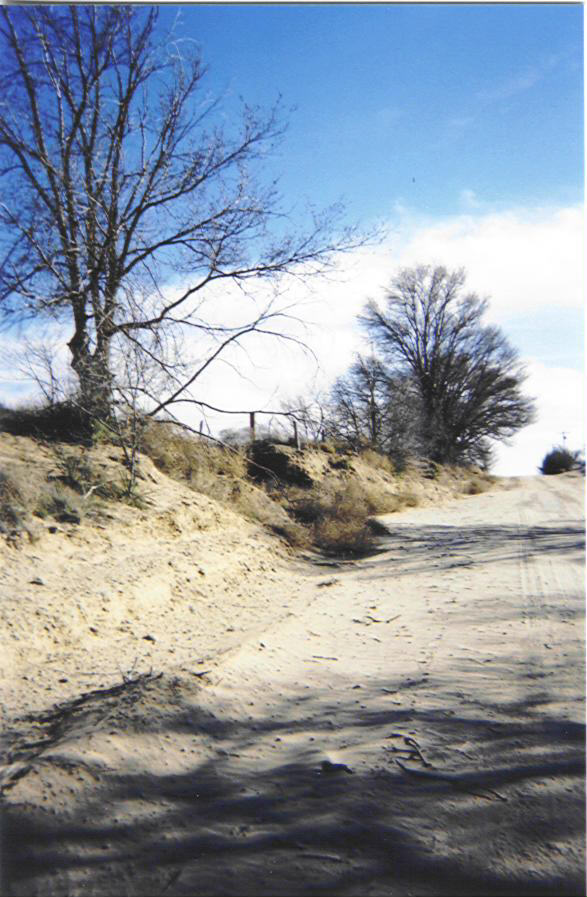 Photograph by Faye Heffington