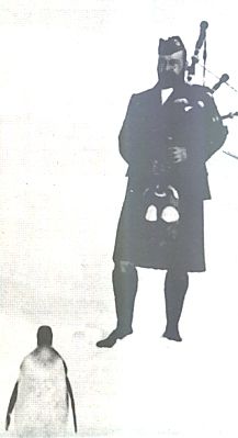 Seranade: Penguins would stand impassively as Dr Gilbert Kerr played.