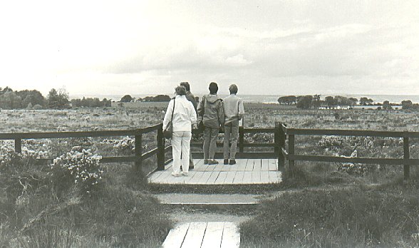 Looking out over the battlefield at Culloden