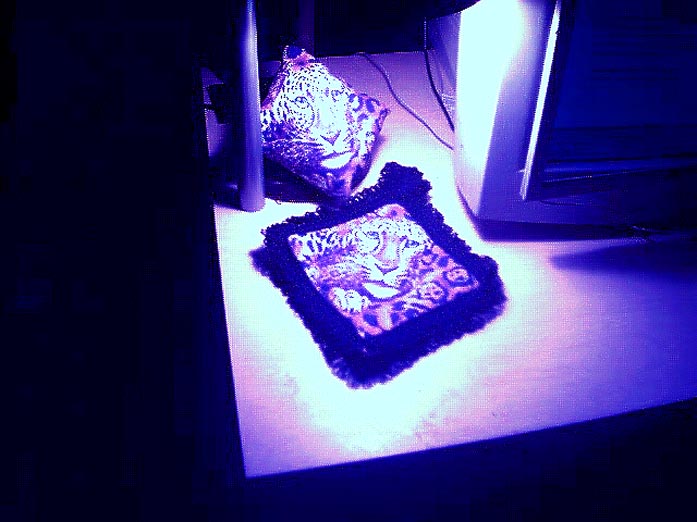 Animal print potholder & pin cushion