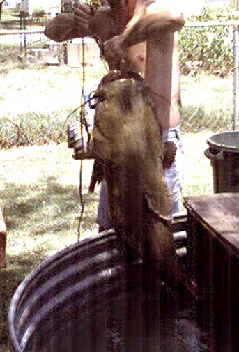 Noodling the Salt Fork