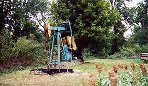 Oil on the Timberland