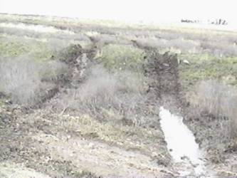 Track vehicle activities cause extreme disturbance to the soils