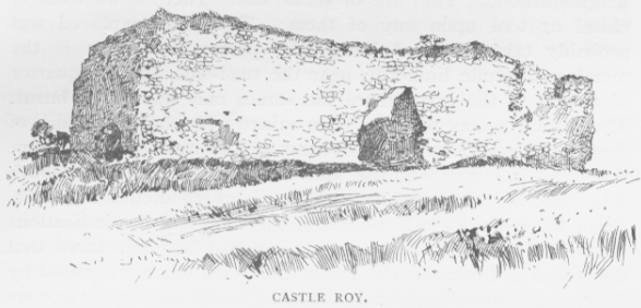 Castle Roy