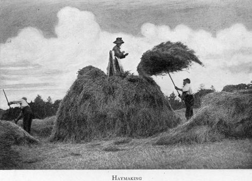 Hay Making