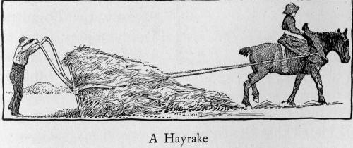Hayrake