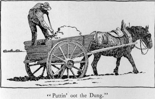 Puttin' oot the dung