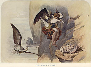 Robbing an Eagle's Nest