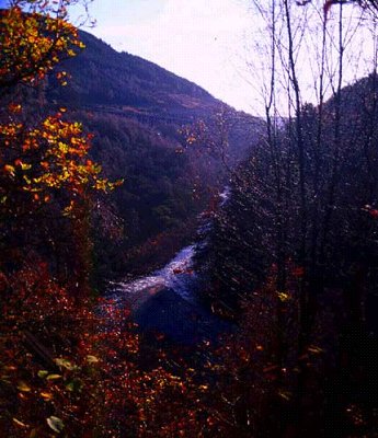 Pass of Killiecrankie