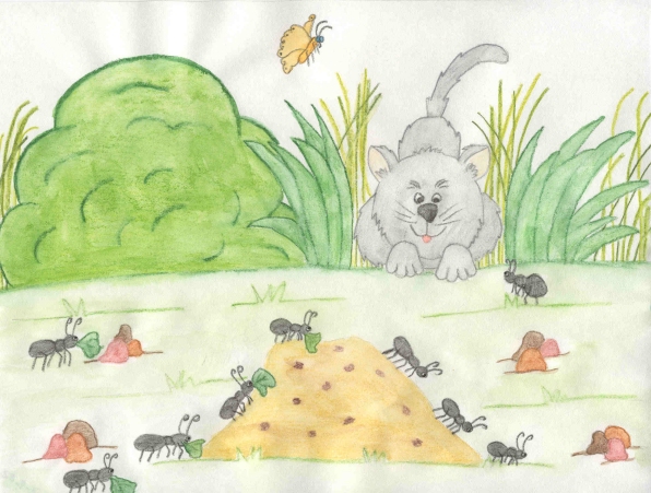 Alexander’s Adventures