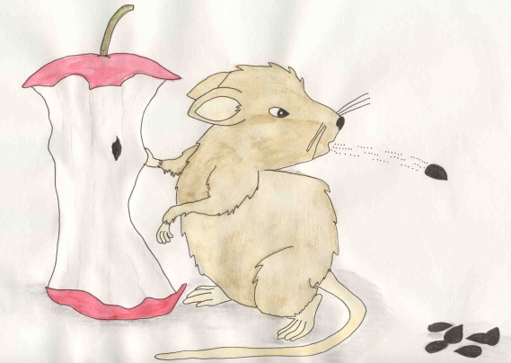 It’s Much Better To Be Tidy