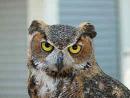 "Are you talking to me?"