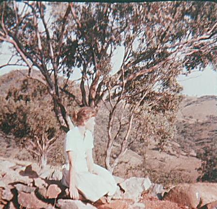 Aus love gum trees - Alison nee Rixon-Page - photo neath gum tree