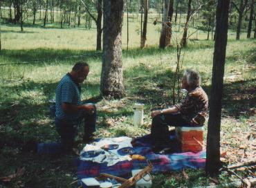 In steps of Pioneers @ Dalmonton Nymboida NSW during the 1980s