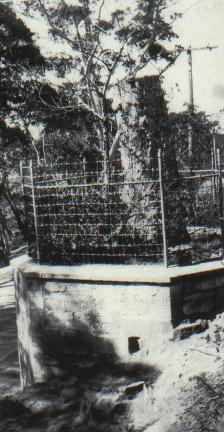 Explorers' Tree monument to explorers that opened up NSW