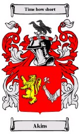 Akins coat of arms