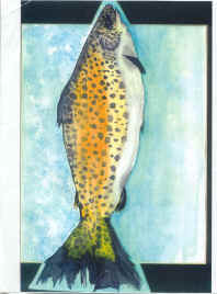 nana fish