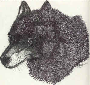 nana wolf
