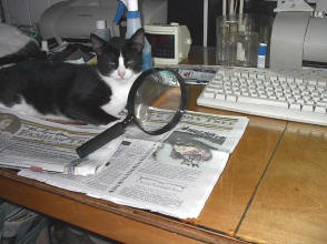 Glad the Family Tree got here