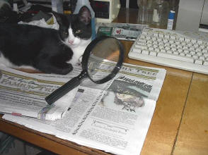 Now I appreciate this