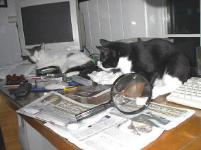 Hey let me have that magnifying viewer, this is worth checking out