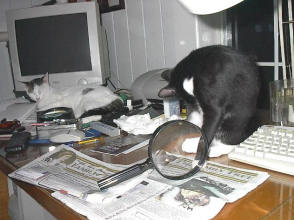 She should have been a centerfold