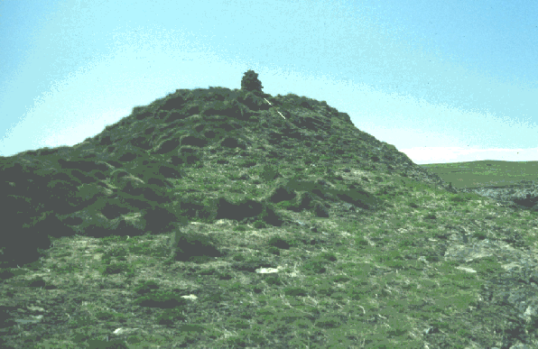 The Mound over the Keep, before Burning Off the Vegetation