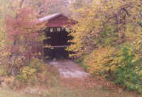 fallp9.jpg (74636 bytes)