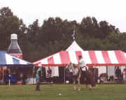 Medieval Equestrian Display