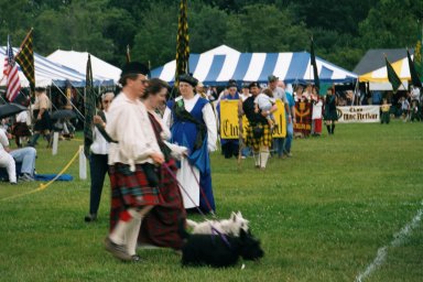 Scottie dogs and babies asleep on shoulders 