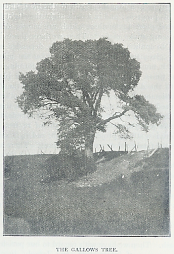 The Galkows Tree