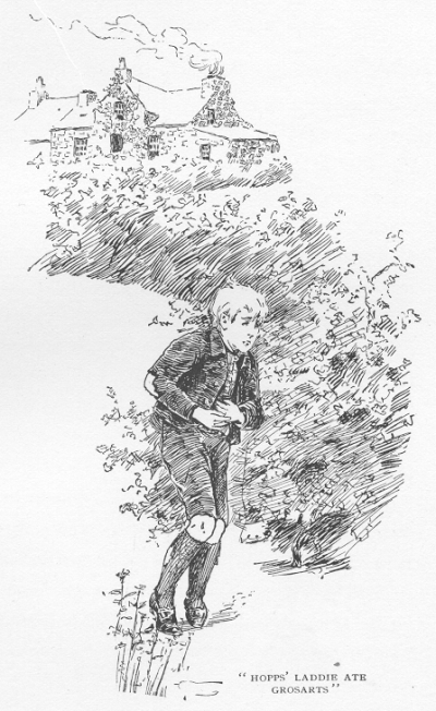 Hopps laddie ate grosarts