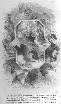 corie_lynn.jpg (122091 bytes)