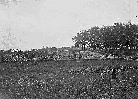 Woods where Gen. Reynolds was killed.