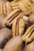 Pecans