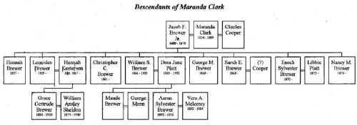Descendants of Miranda Clark