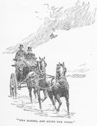 twa horses, ane afore the ither