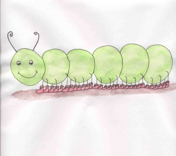 Cynthia Caterpillar