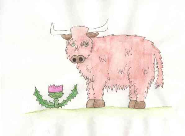 Roderick, the Highland Bull