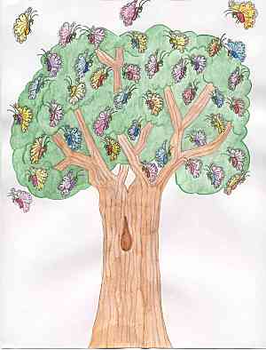 Butterflies in the Tree