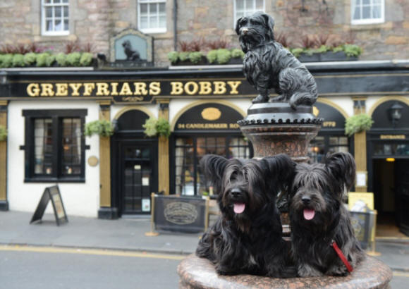 Greyfriars Bobby and friends. Picture: Neil Hanna