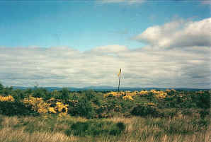 Culloden Moor