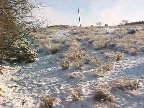 Falkirk in the snow at the site of the Battle of Falkirk 1745