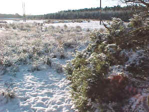 Falkirk in the snow at the site of the Battle of Falkirk 1745